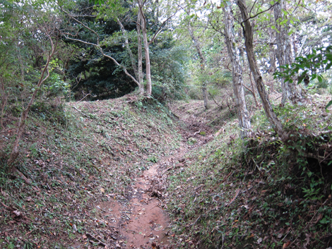 20191024hike (31)